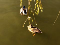 -国家植物园(地铁站)