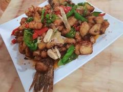 -煲来饱去冷水鱼