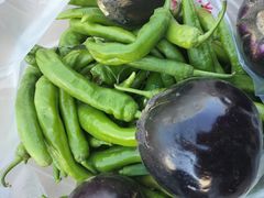 -庞各庄翠芳园西瓜蔬菜基地采摘园