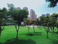 -塔子山公园