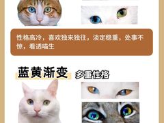-翊宠yipet猫狗购宠庄园犬舍•猫舍
