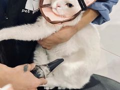 -诺比宠物医院心脏内科·泌尿肾内外科·骨科急重症