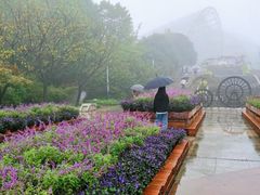 -南山植物园