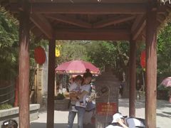 -西安曲江寒窑遗址公园