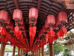 -上海东林寺(金山区)