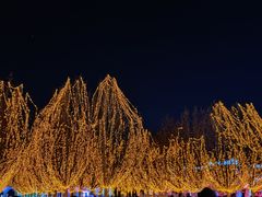 -杨柳青古镇