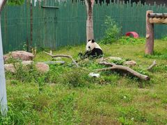 -沈阳森林动物园
