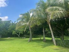 -深圳湾公园(南山区)
