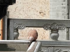 -罔极寺