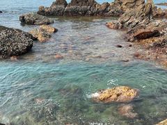 -鹿嘴山庄
