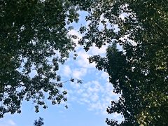 -湘小伍(天子座店)