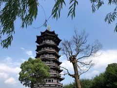 -洋湖国家湿地公园