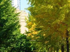 -东北大学(南湖校区)