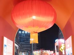 -越秀西湖花市(广州城市广场花卉店)