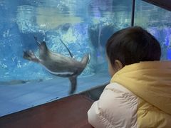 -太平洋海底世界