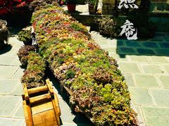-寂照庵