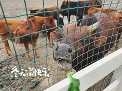 -嘉北郊野公园