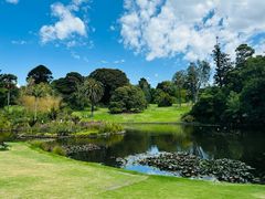 -墨尔本皇家植物园