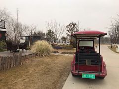 -南通鲜花小镇