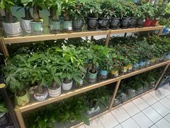-大润发(张江店)