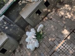 -开元溶洞