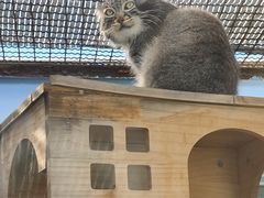 -青藏高原野生动物园
