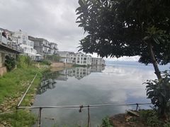 -大理洱海