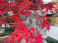 -龙华寺