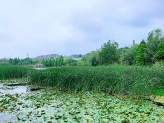 -贵阳市花溪国家城市湿地公园