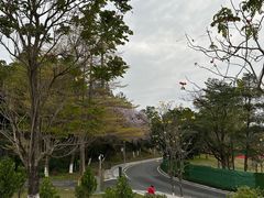 -东莞植物园