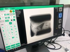 -佳雯宠物医院(金华南路分院)