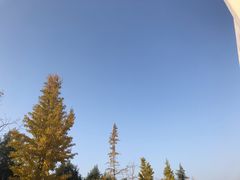 -芭提雅Amporn Seafood自助餐厅