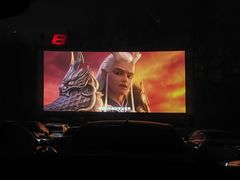 -枫花园汽车电影院(朝阳公园店)