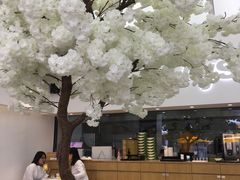-艾薯夫妇Aysh(福田星河COCOPark店)