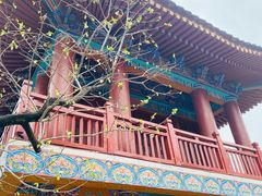 -华清宫景区