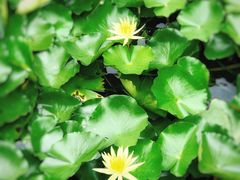 -苏州河梦清园环保主题公园