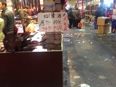 -重庆国际会议展览中心