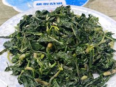 凉拌野菜-文婷沾片子