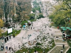 -南京城墙景区