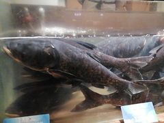 -上名堂·鱼头好吃(体育场路店)