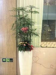 点击看大图 -禧月荟·爱丽馨月子中心(山庄店)