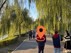 -天津东丽湖风景区