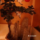 牛眼肉和五花肉肥瘦相间，经服务员的烤炙，香气扑鼻