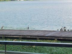 -水上明月·湖景餐厅