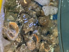 -渔中舟海鲜大排档(普陀沈家门店)