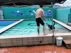 -趣玩宠物乐园寄养训犬训狗游泳池