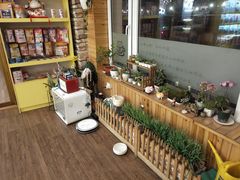 -猫的茶·猫咖