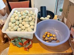 -真真鲜馄饨店(启蒙路店)