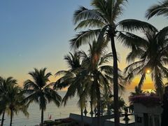-日落吧·海景咖啡厅·餐酒吧·鸡尾酒·下午茶·乐队表演·浪漫夕阳·三亚文华东方酒店
