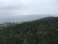 -刘公岛景区